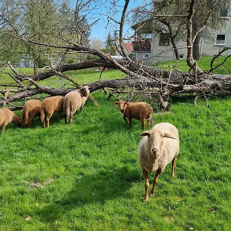 Streckhofidylle Apartman