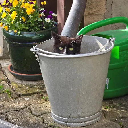 Streckhofidylle