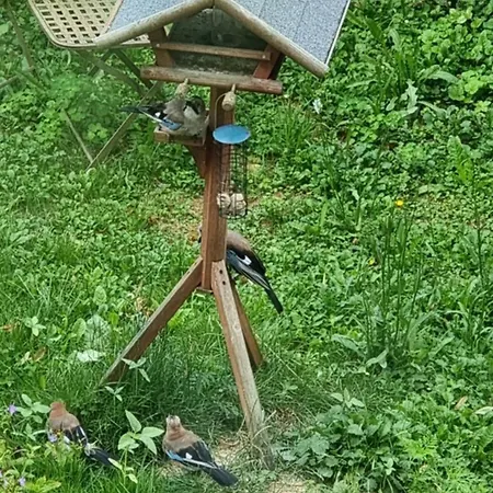 Streckhofidylle Appartement